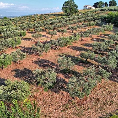 Agriturismo Incanto Della Natura Cannara المظهر الخارجي الصورة